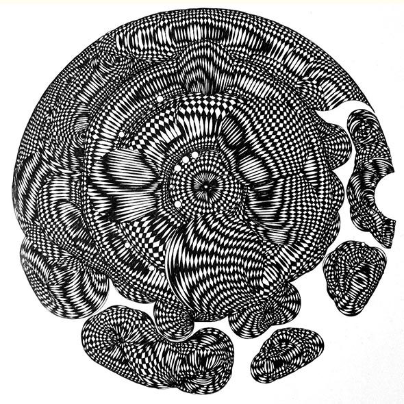 Black Strap Molasses 6