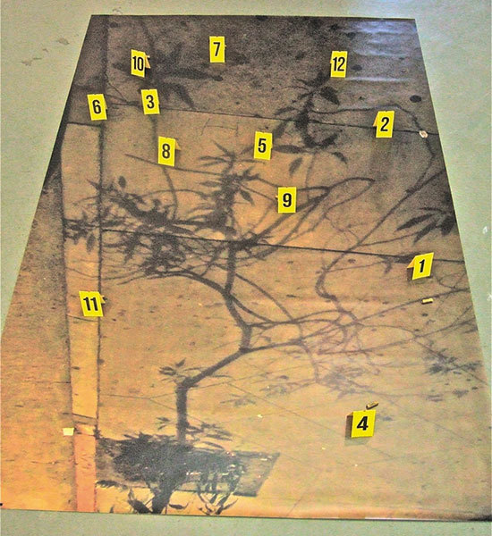 Night Crime, Oakland