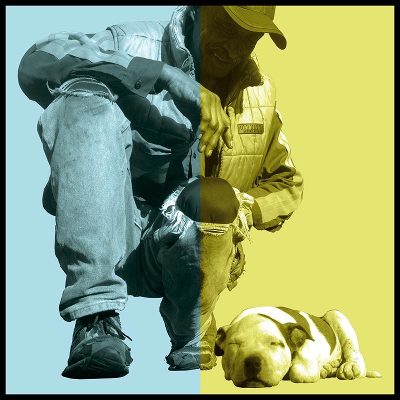 California Dreamin’ - Pity'y