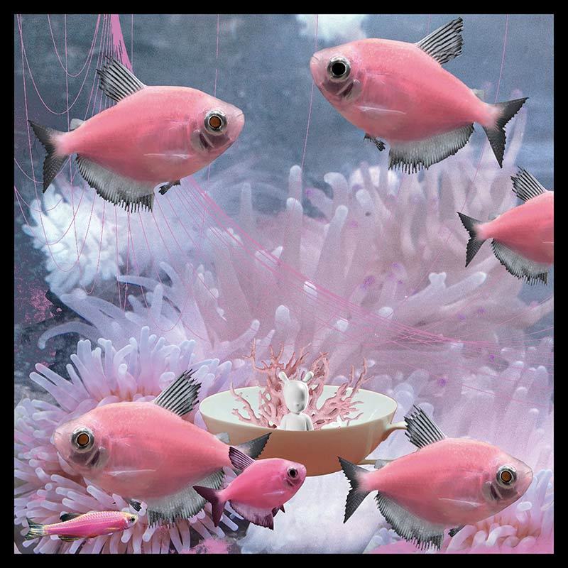 Ping-Pong Collage 61